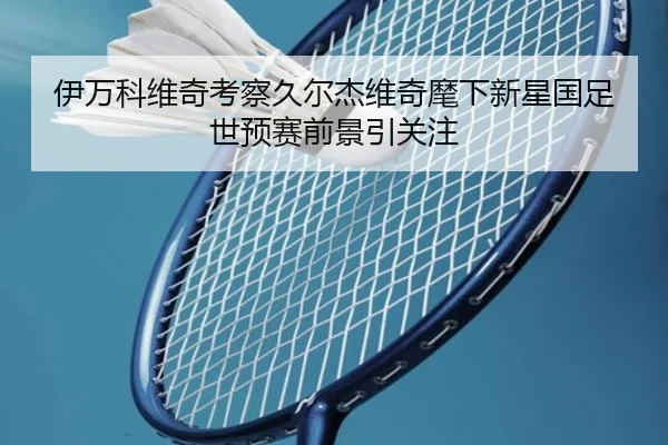 伊万科维奇考察久尔杰维奇麾下新星国足世预赛前景引关注
